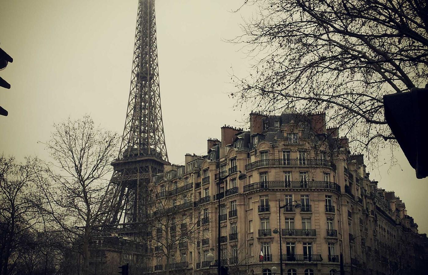 Tratamiento capilar nutritivo para un cabello sano